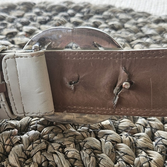 Gucci Web Belt - Picture 9 of 10